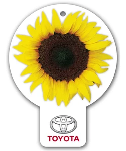 Toyota_service summer